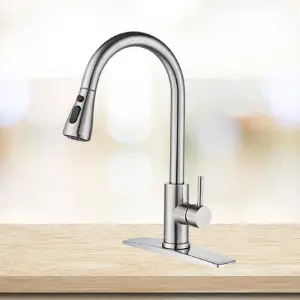 forios pull down budget kitchen faucet
