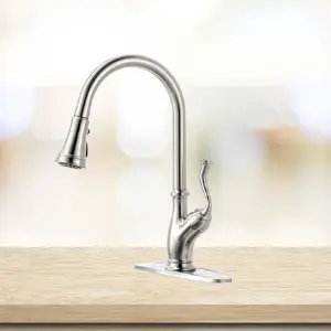 Appaso Kitchen Faucet