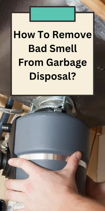 Why Does Garbage Disposal Smell
