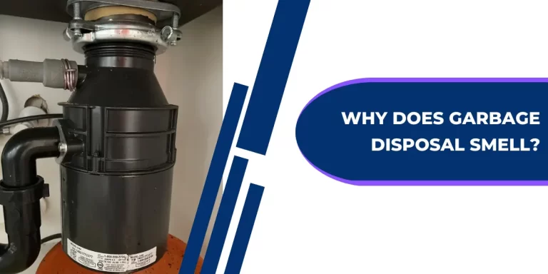 Why Does Garbage Disposal Smell? Easy Ways To Remove