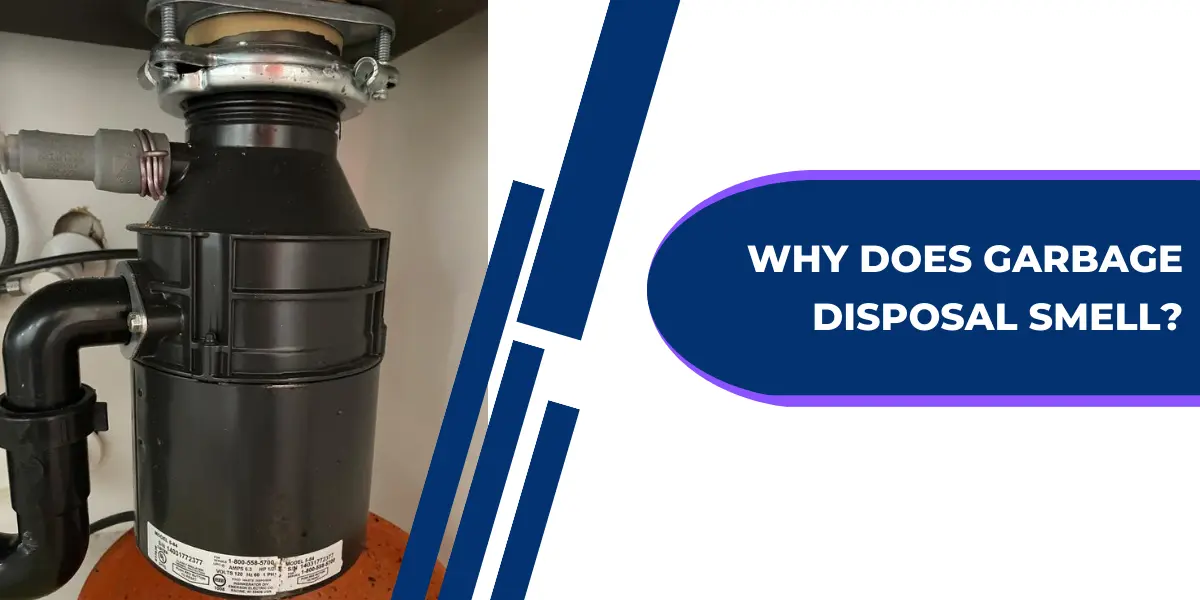 Why Does Garbage Disposal Smell